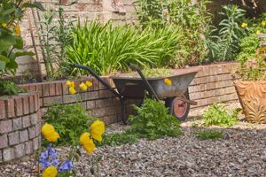 Garden- click for photo gallery